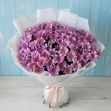 Букет цветов из:  Хризантемы #REPLACE_PRED# Советском Республики Марий Эл