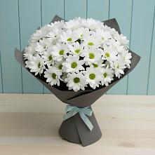 Букет цветов из:  Хризантемы #REPLACE_PRED# Советском Республики Марий Эл