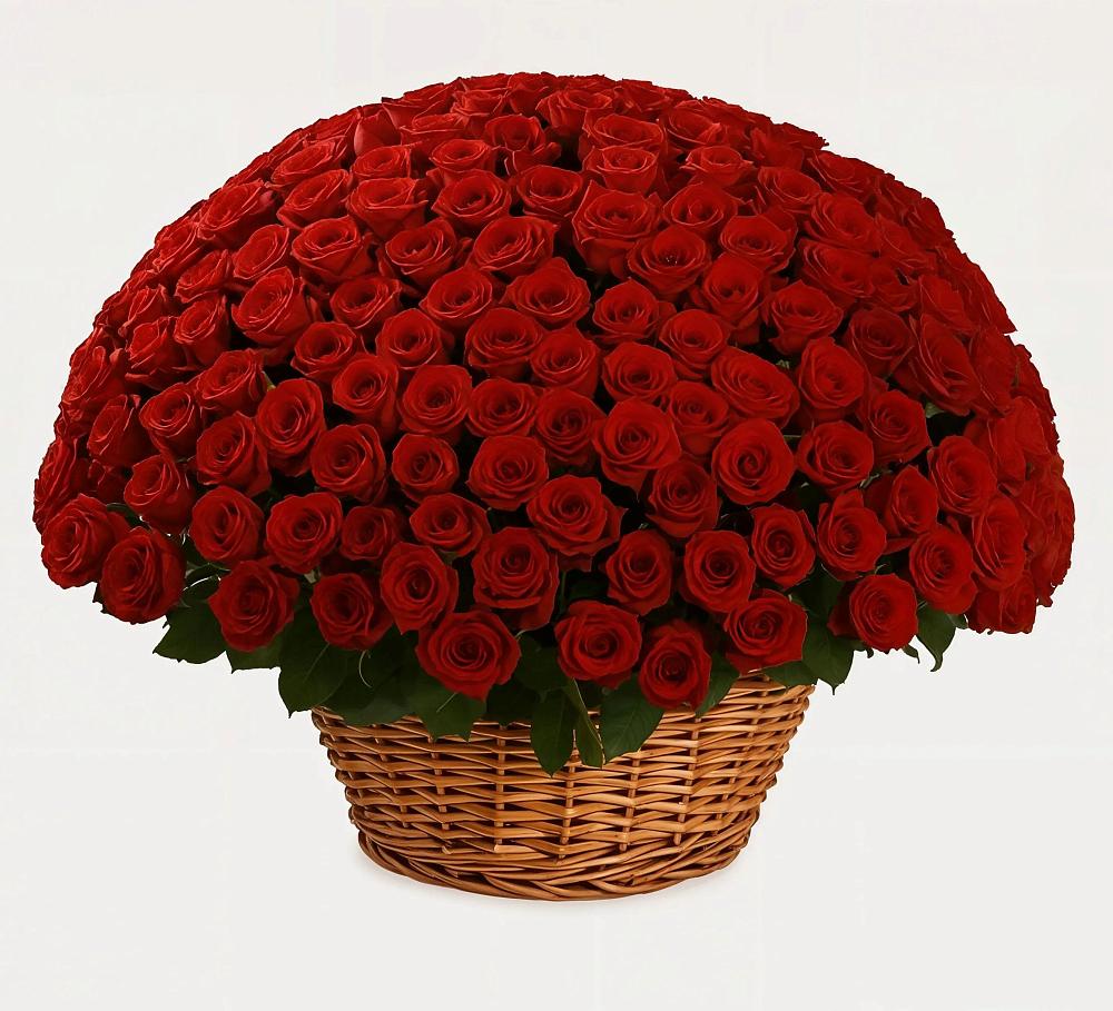 Премиум букет из: Розы в Советском Республики Марий Эл