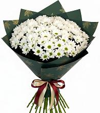 Букет цветов из:  Хризантемы в Советском Республики Марий Эл