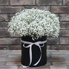 Цветочная композиция из Гипсофила в шляпной коробке в Советском Республики Марий Эл